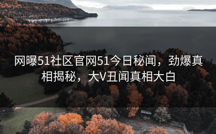 网曝51社区官网51今日秘闻，劲爆真相揭秘，大V丑闻真相大白