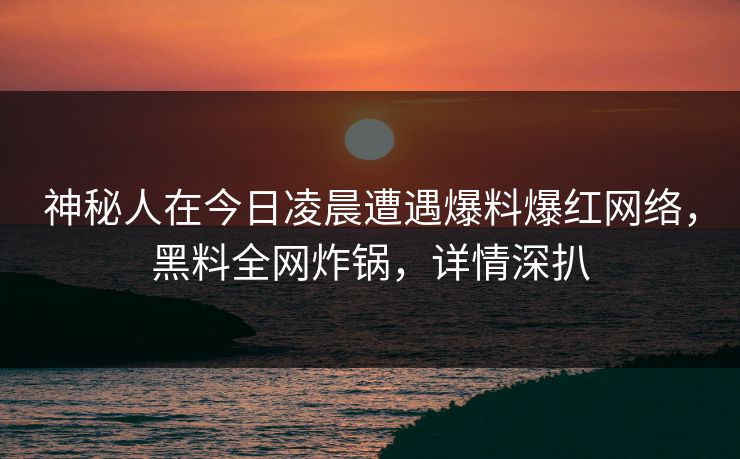 神秘人在今日凌晨遭遇爆料爆红网络，黑料全网炸锅，详情深扒