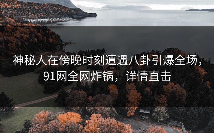 神秘人在傍晚时刻遭遇八卦引爆全场，91网全网炸锅，详情直击
