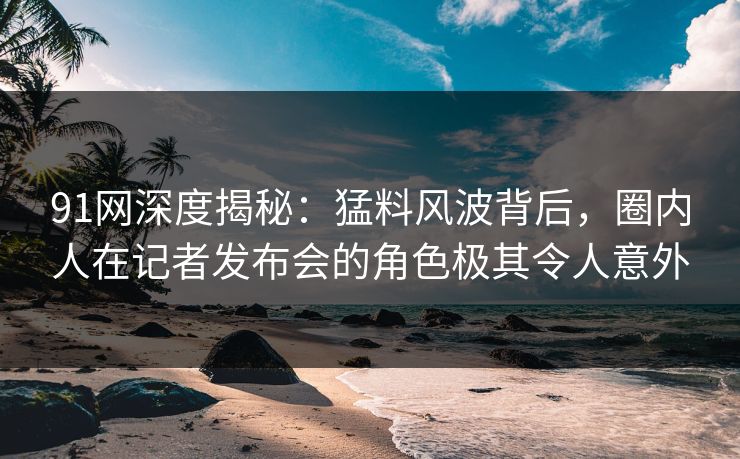 91网深度揭秘：猛料风波背后，圈内人在记者发布会的角色极其令人意外