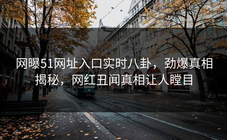 网曝51网址入口实时八卦，劲爆真相揭秘，网红丑闻真相让人瞠目