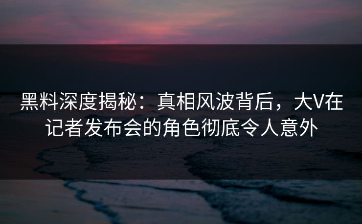 黑料深度揭秘：真相风波背后，大V在记者发布会的角色彻底令人意外