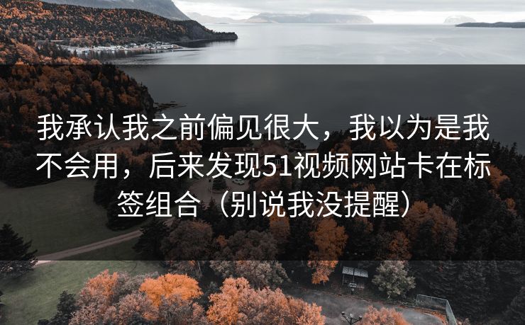我承认我之前偏见很大，我以为是我不会用，后来发现51视频网站卡在标签组合（别说我没提醒）
