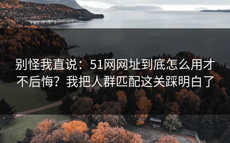 别怪我直说：51网网址到底怎么用才不后悔？我把人群匹配这关踩明白了